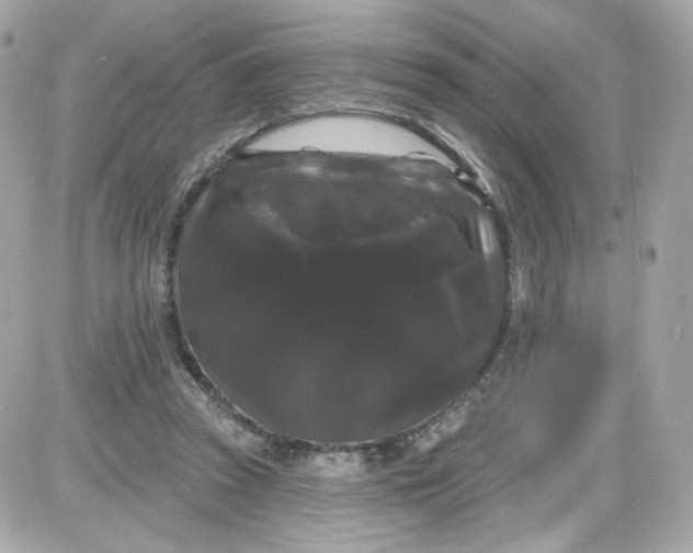 X0000087530353200705112037