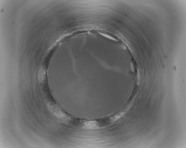 X0000087530355200705112037