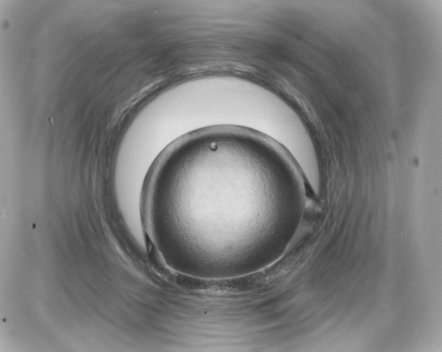 X0000087530356200705112037