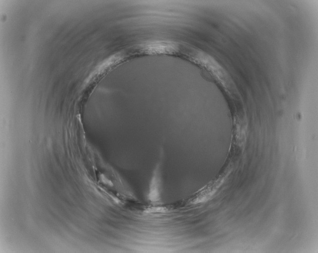 X0000087530357200705112037