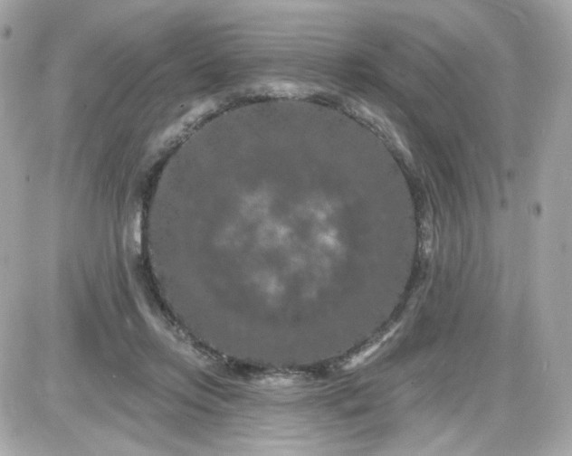 X0000087530358200705112037