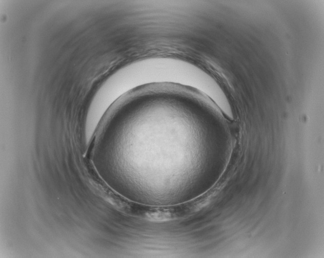 X0000087530362200705112037