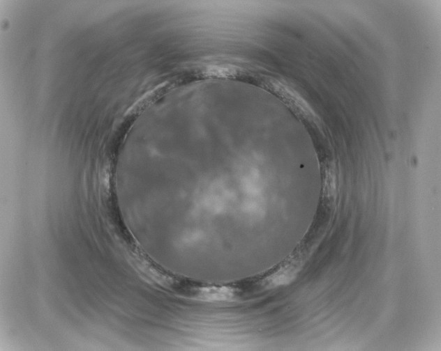 X0000087530363200705112037