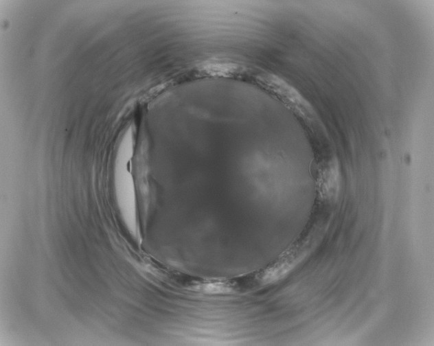 X0000087530365200705112037