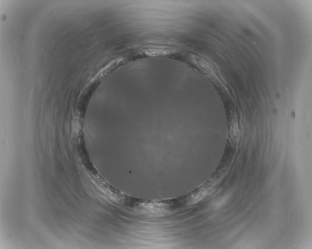 X0000087530367200705112037