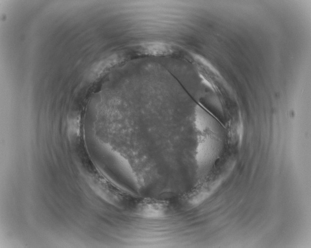 X0000087530368200705112037