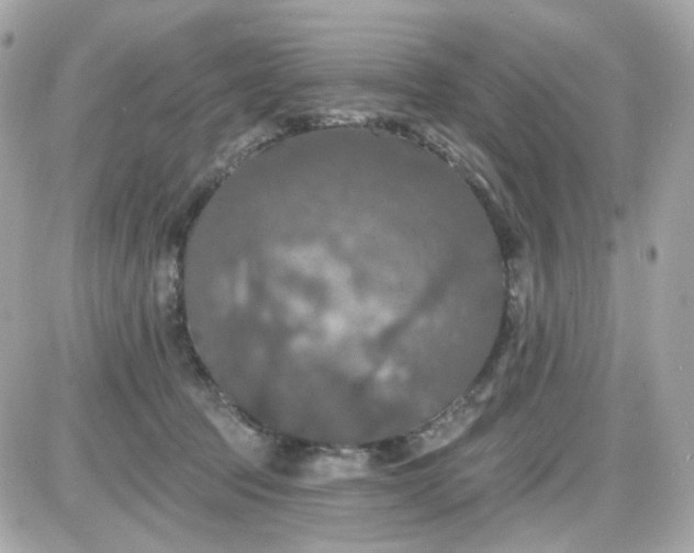 X0000087530369200705112037