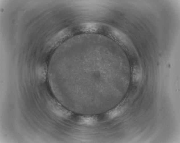 X0000087530370200705112037