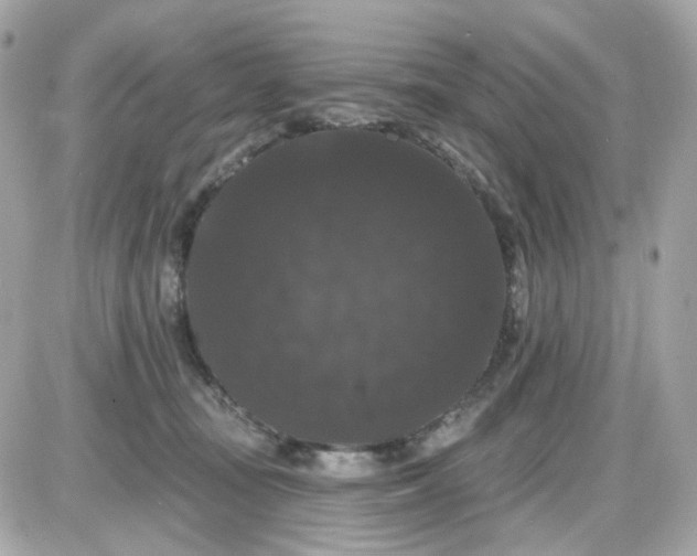 X0000087530371200705112037