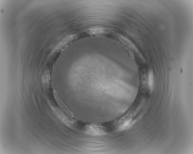 X0000087530372200705112037