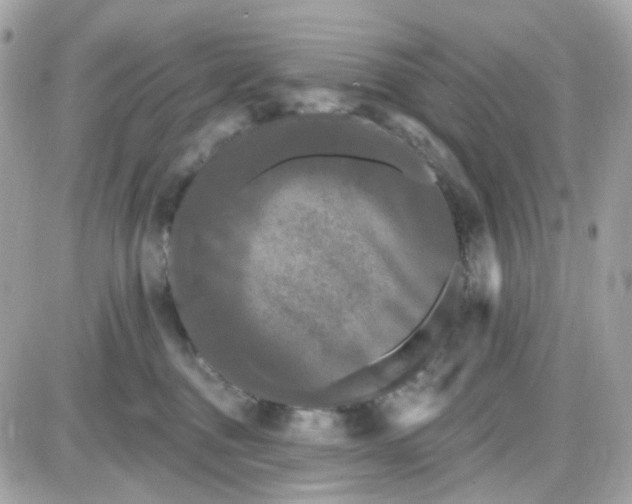 X0000087530376200705112037