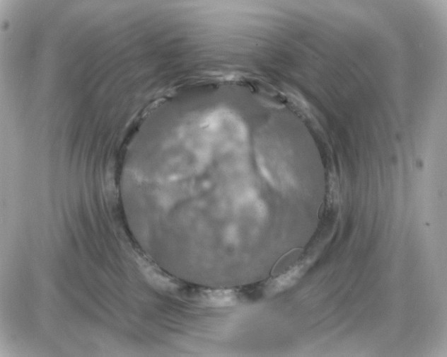 X0000087530377200705112037