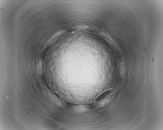 X0000087530378200705112037