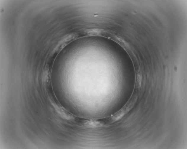 X0000087530379200705112037