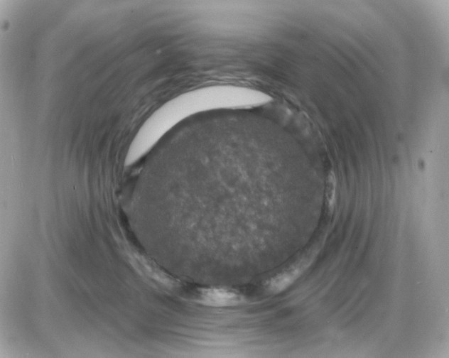 X0000087530380200705112037