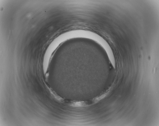 X0000087530382200705112037