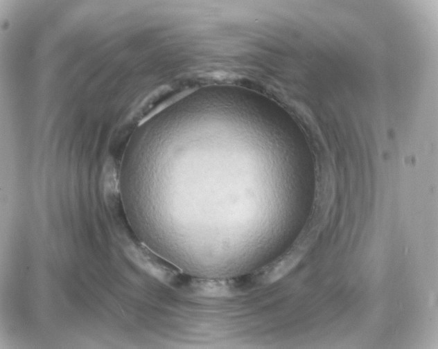 X0000087530384200705112037