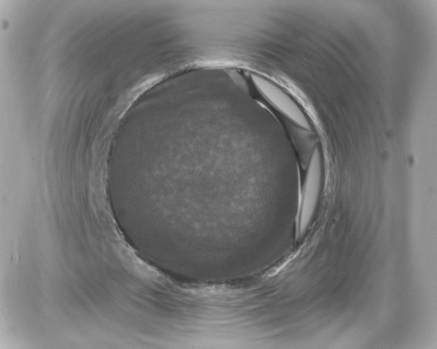 X0000087530385200705112037