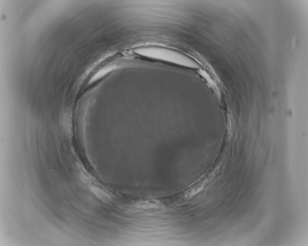 X0000087530386200705112037