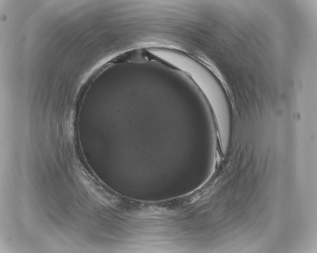 X0000087530387200705112037