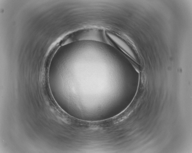 X0000087530388200705112037