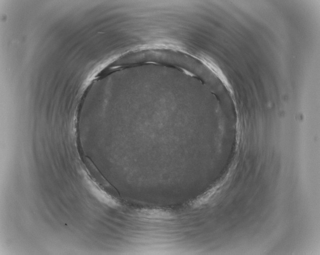 X0000087530389200705112037