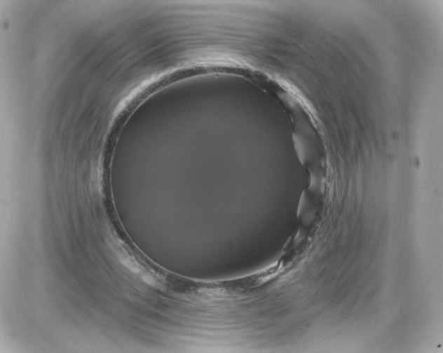 X0000087530391200705112037