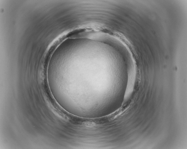 X0000087530392200705112036