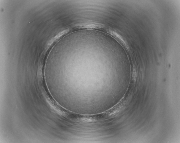 X0000087530394200705112036