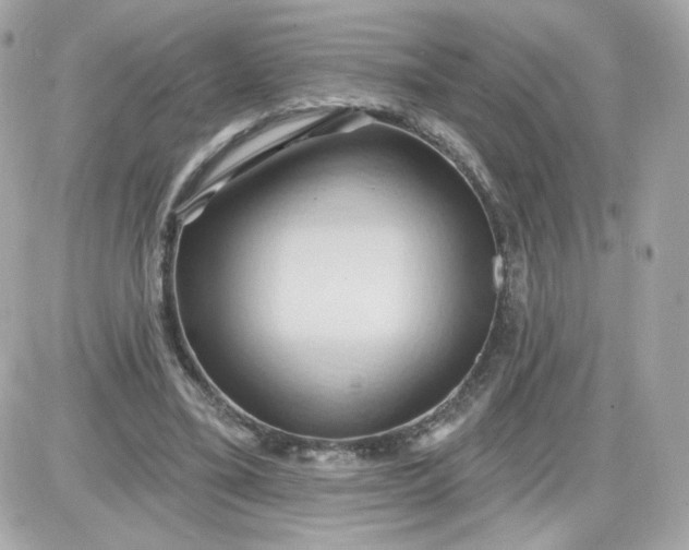 X0000087530395200705112036