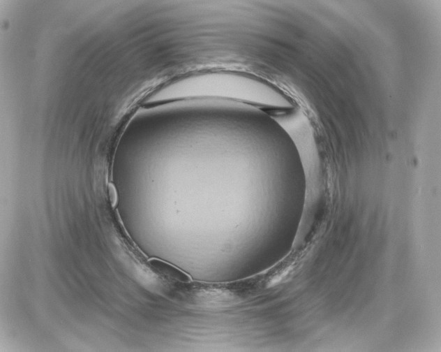 X0000087530397200705112036