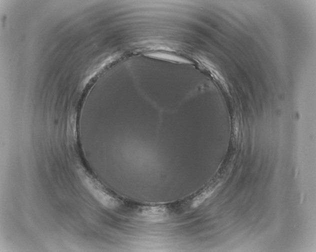 X0000087530398200705112036