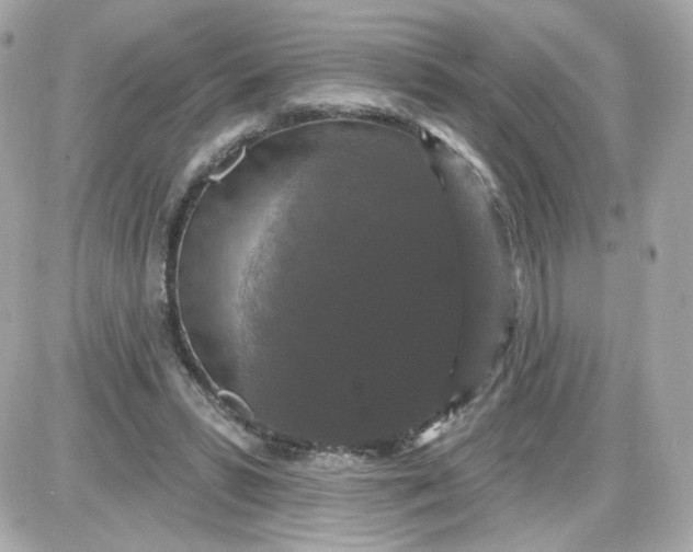 X0000087530399200705112036