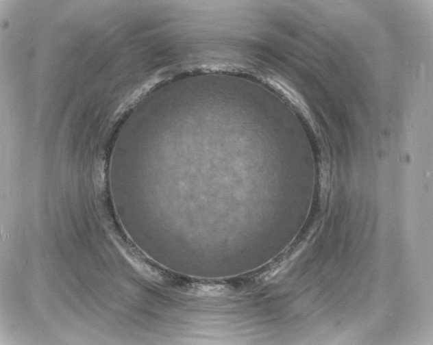 X0000087530401200705112036