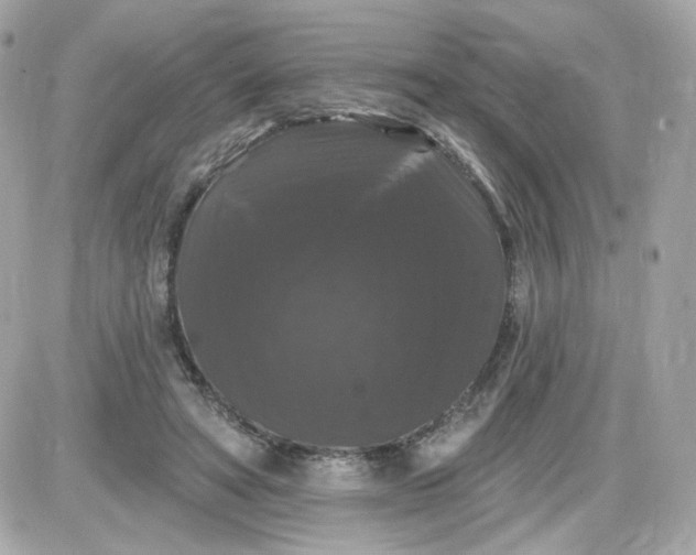 X0000087530402200705112036