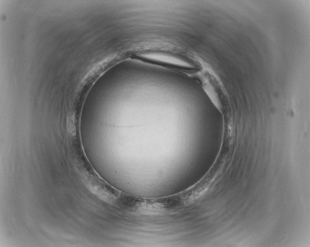 X0000087530403200705112036