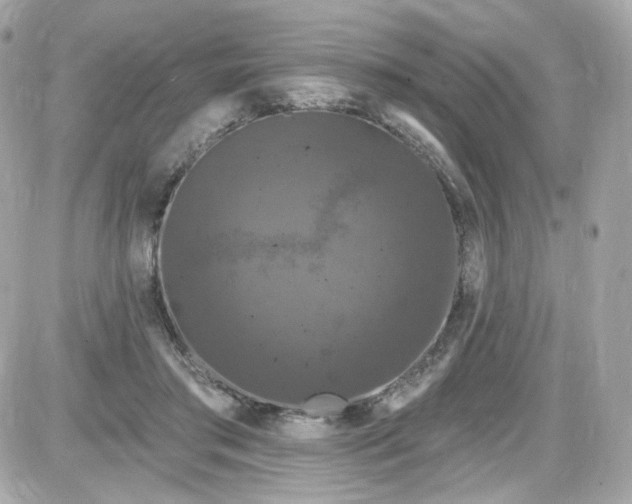 X0000087530405200705112036