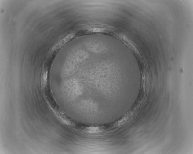 X0000087530406200705112036