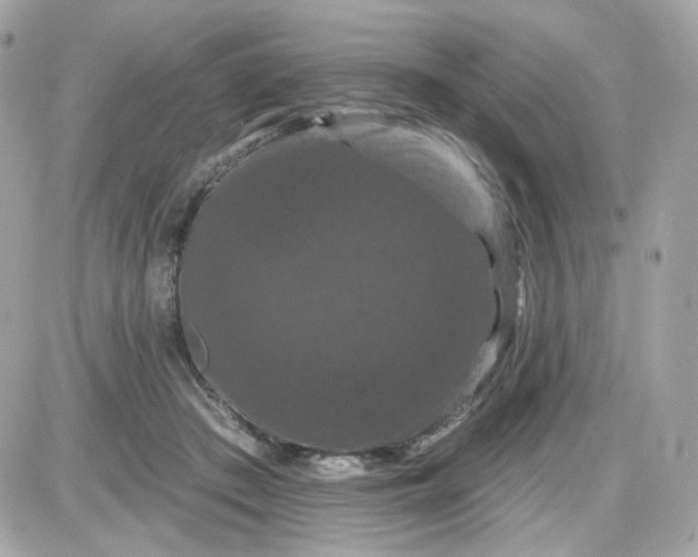 X0000087530409200705112036