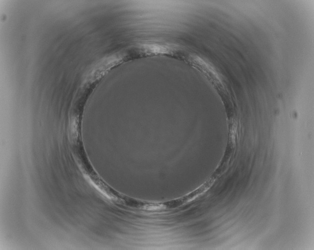 X0000087530410200705112036