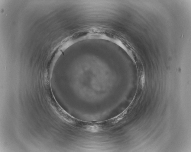 X0000087530411200705112036