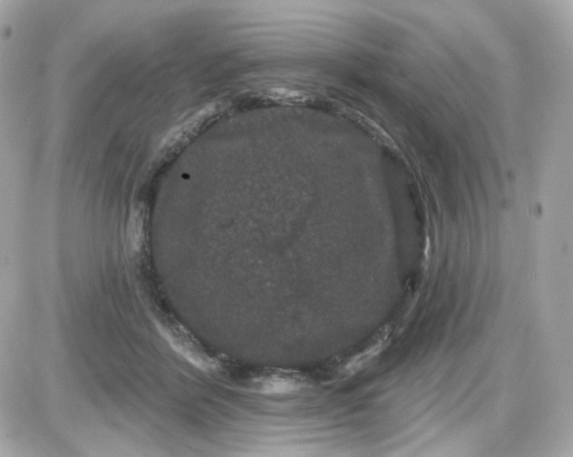 X0000087530412200705112036