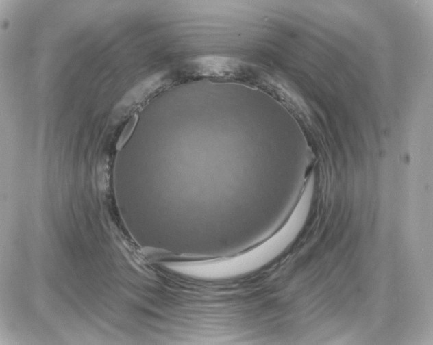 X0000087530413200705112036