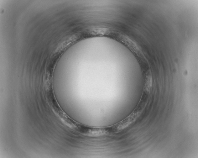 X0000087530414200705112036