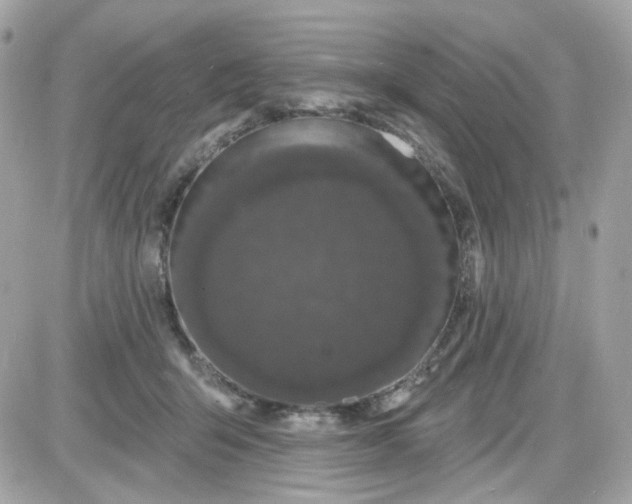 X0000087530415200705112036