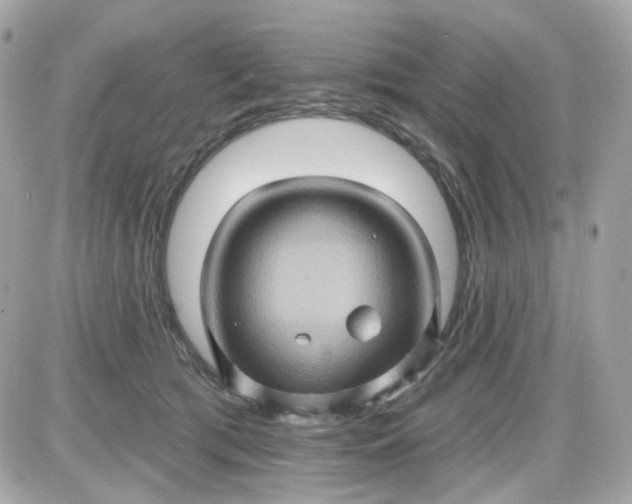 X0000087530417200705112036