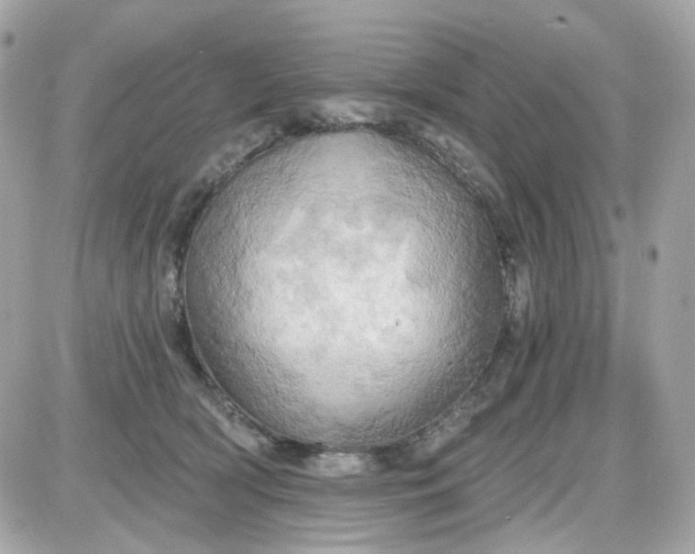 X0000087530418200705112036