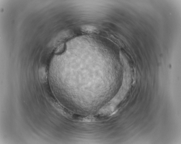 X0000087530420200705112036