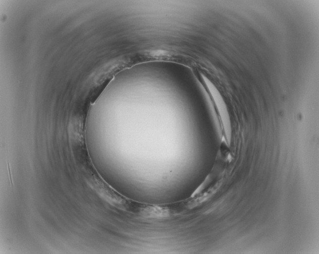 X0000087530421200705112036