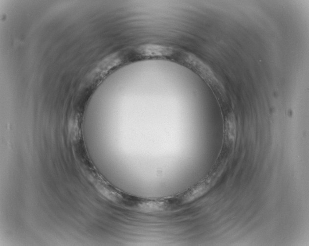 X0000087530422200705112036